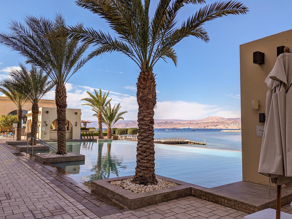 palm trees line the entrances to an infinity pool with views of the Red Sea behind it