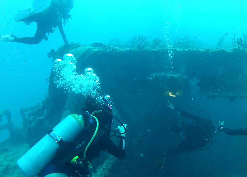 a scuba diver uses a spotting light to show other divers some interesting coral formations on the USS Spiegel Grove