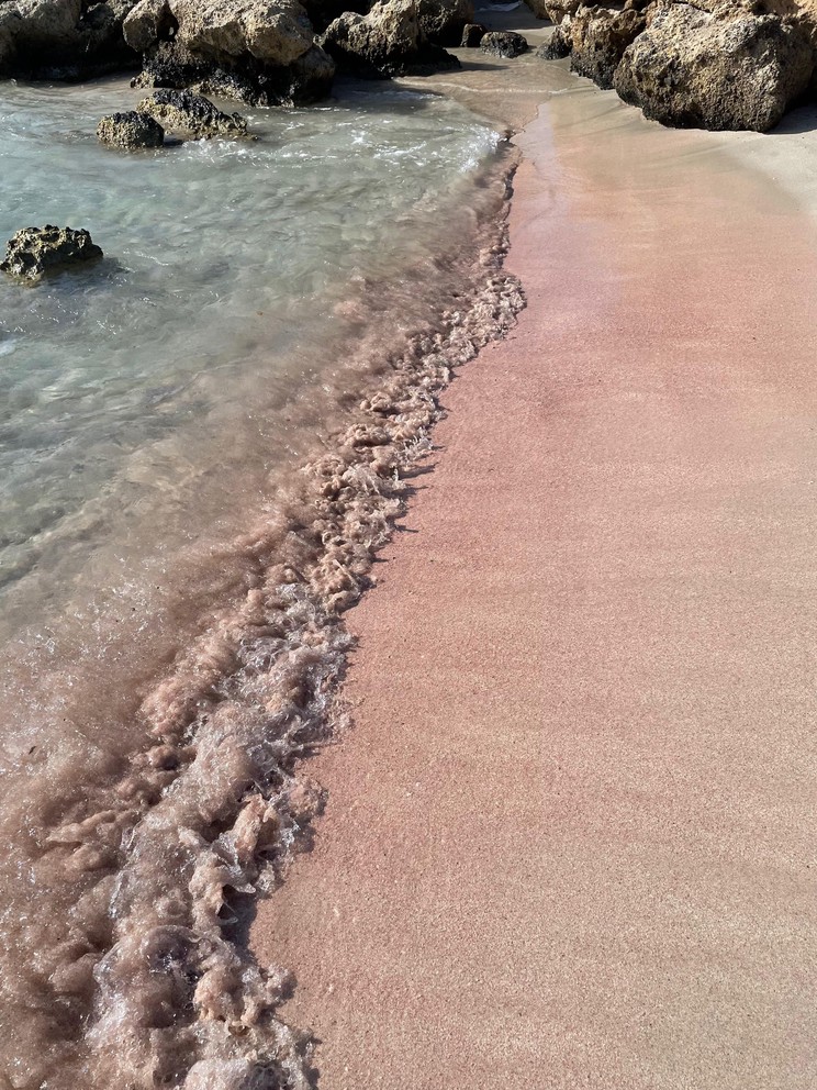 Pink Sand at Elafonisi Beach