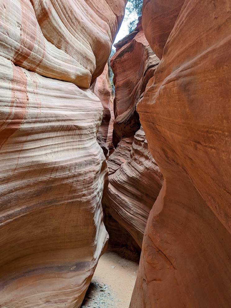 a tight slot canyon appears to open up ahead as you can see trees and the sky between the canyon wlals