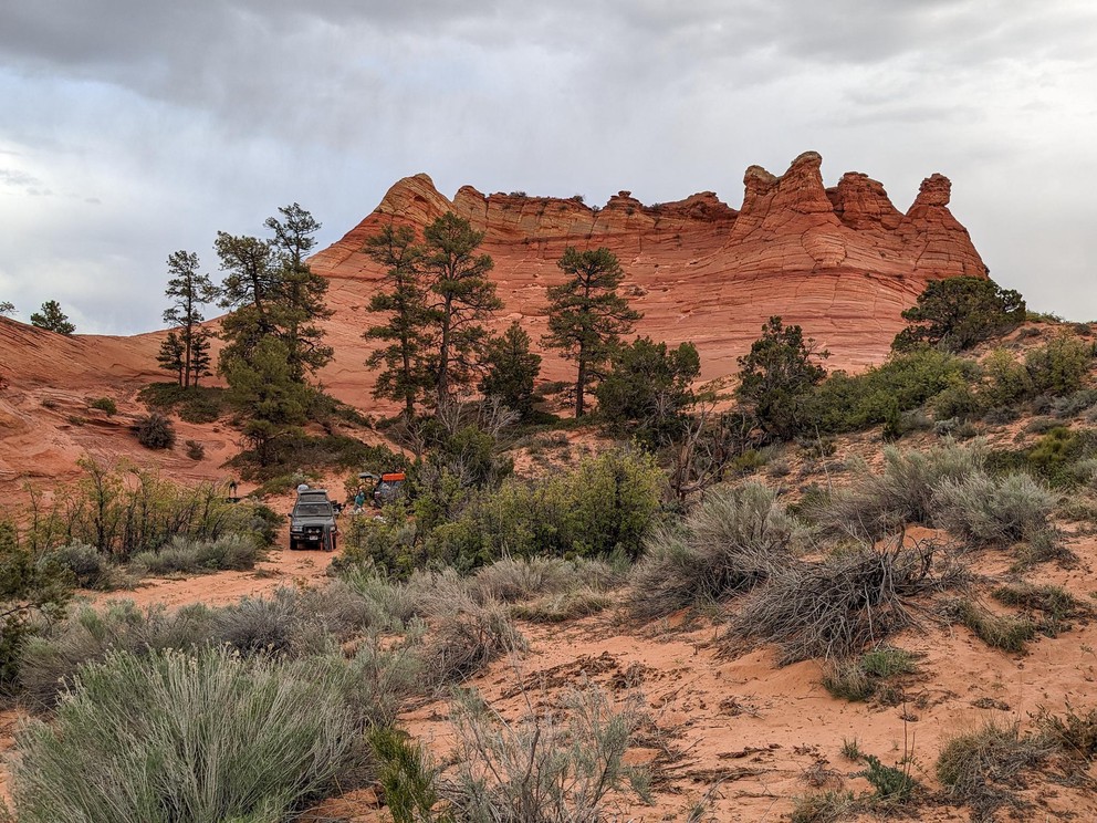 two Toyota SUVs setup camp among pinyon pine trees near a large orange sandstone bluff