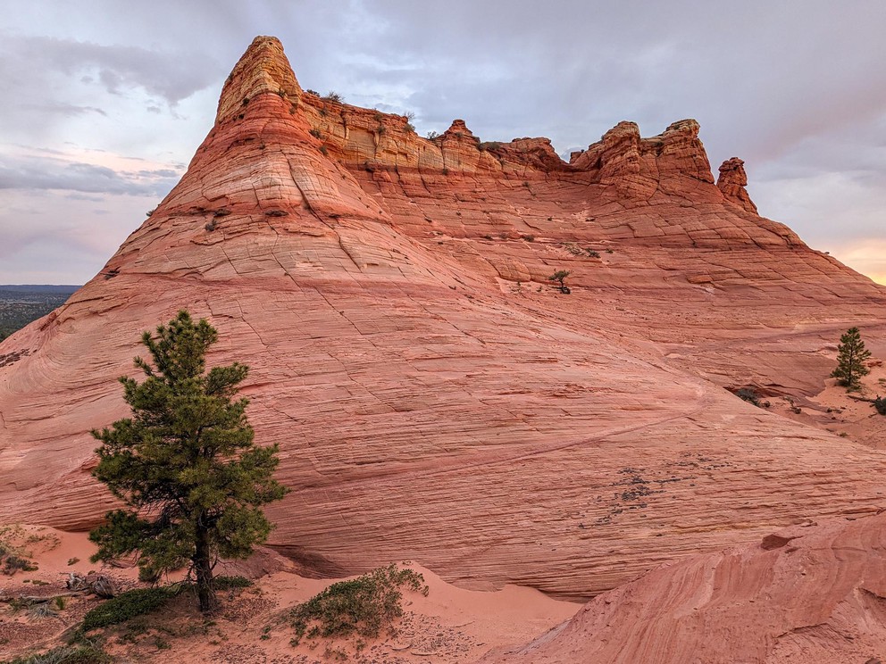 a tall orange sandstone bluff stands alone with a few pinyon pines at its base