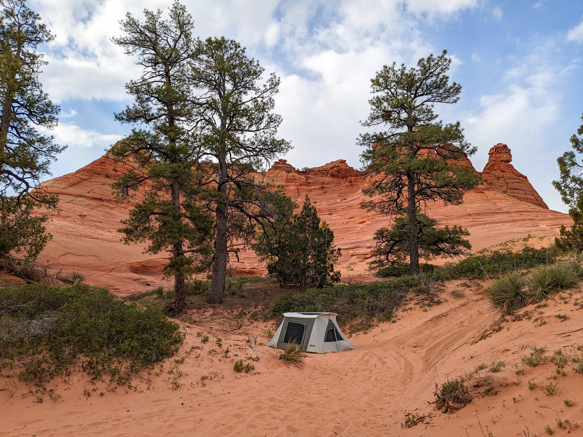 a canvas tent is pitched under pinyon pines next to a stunning red and orange sandstone outcropping