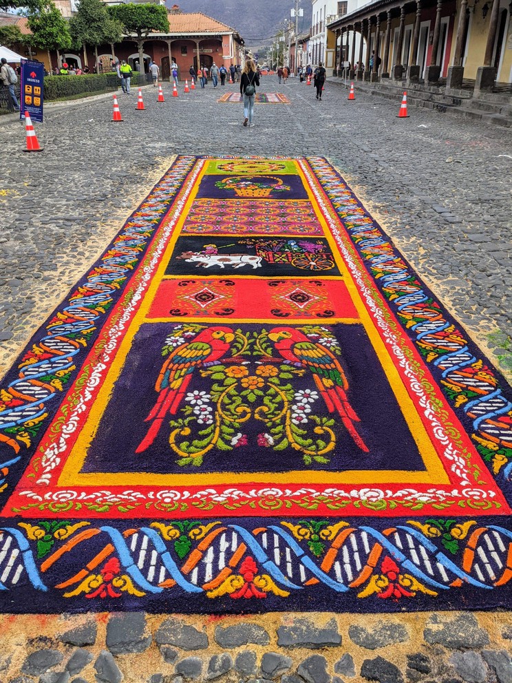 the roads through the central plaza of Antigua, Guatemala are closed and filled with ornate carpets constructed by artists using colored sawdust