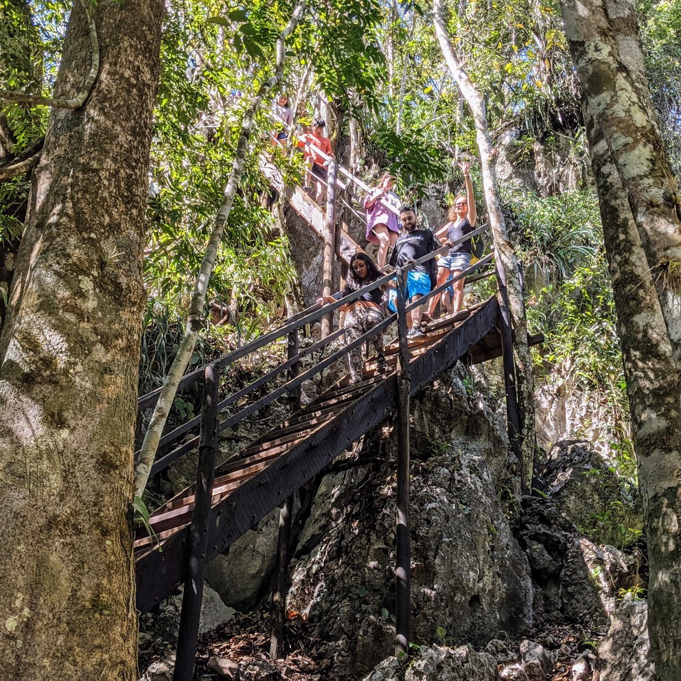 a group of tourists descend a cliffside staircase in the jungles of Guatemala