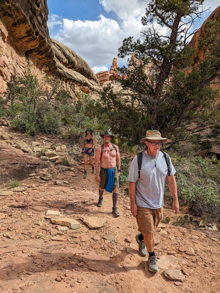 three hikers walk through the bottom of a narrow sandstone canyon filled with desert trees