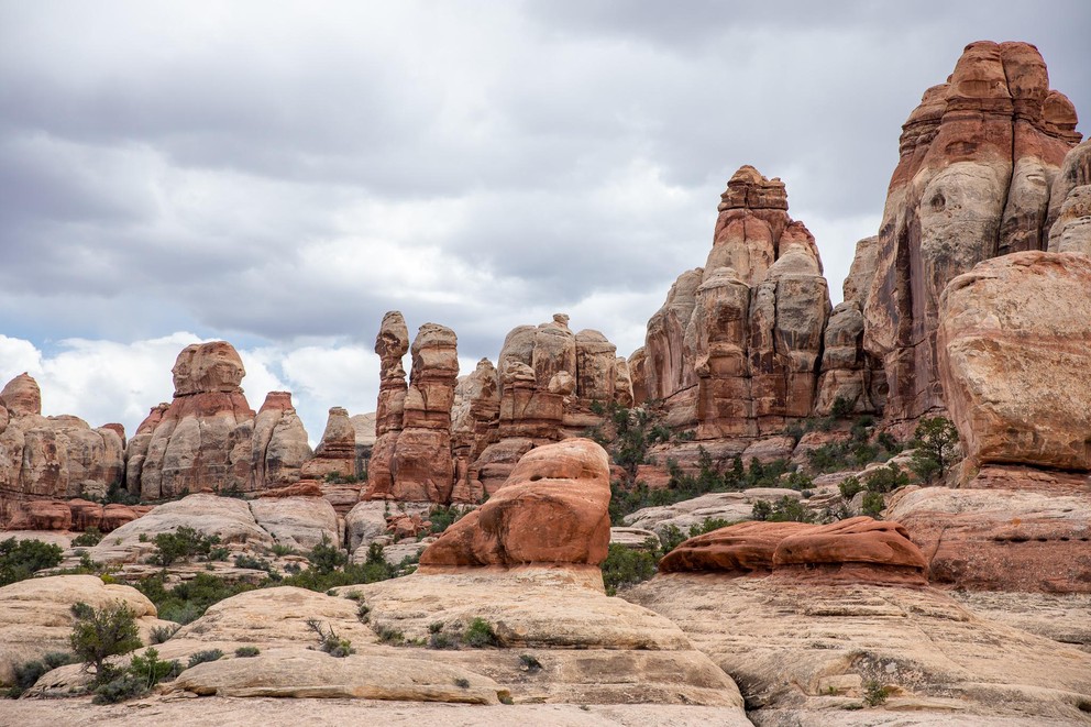 many tall white and red sandstone fingers, spires, hoodoos, and other formations