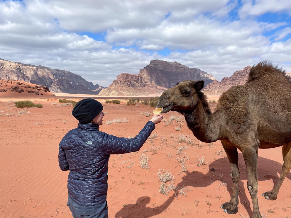 a woman feeds bread to a feral camel