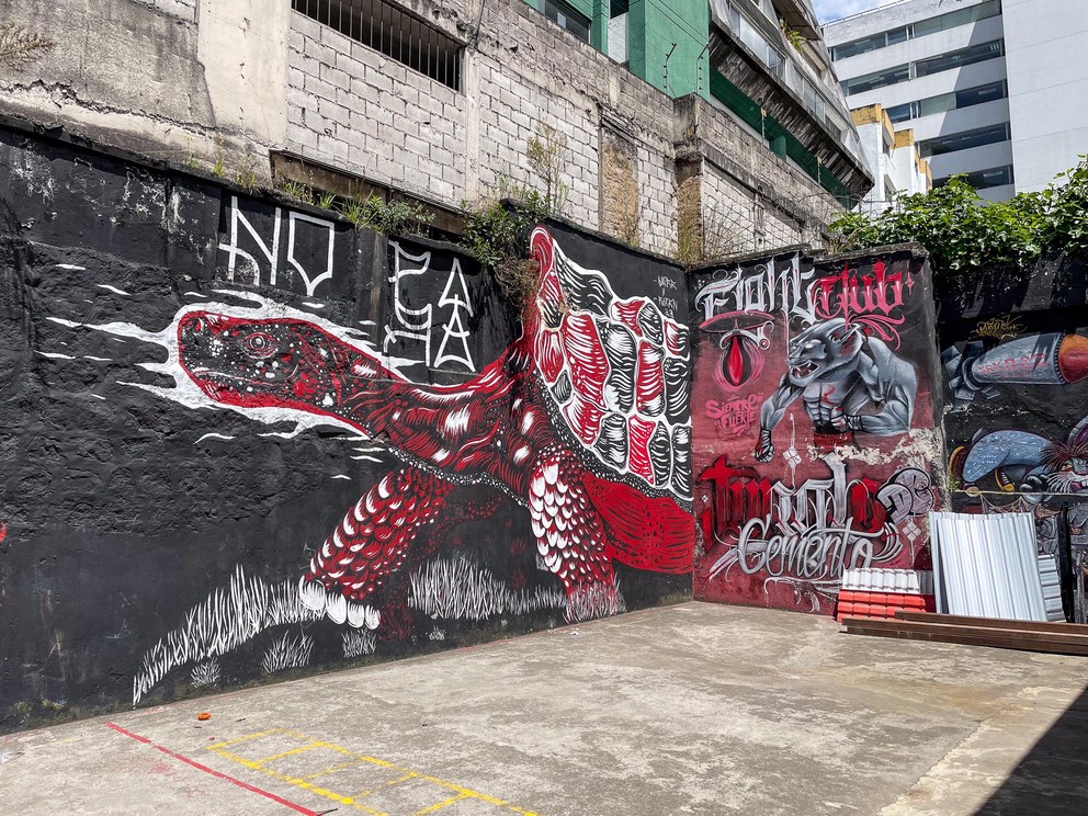 a mural of a large red and black tortoise