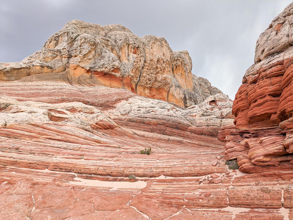many shapes and colors of Navajo sandstone lay visible before you including striated layers of alternating red and white stripes, a large wall of gold and white, etc.