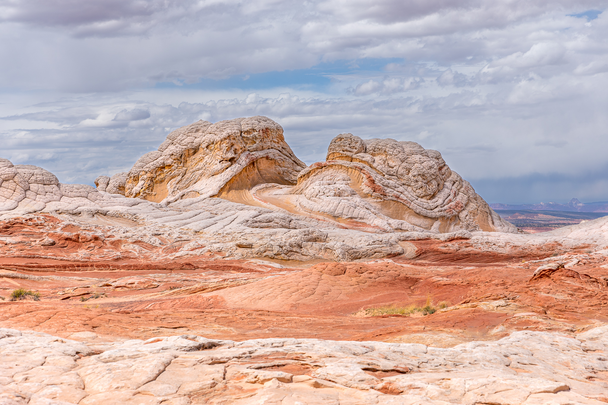 swirls of yellow and white Navajo sandstone rise up
