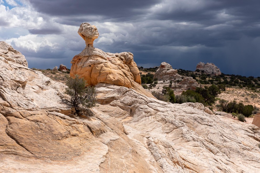 a large yellow sandstone mushroom with a white cap rises to greet threatening dark clouds overhead