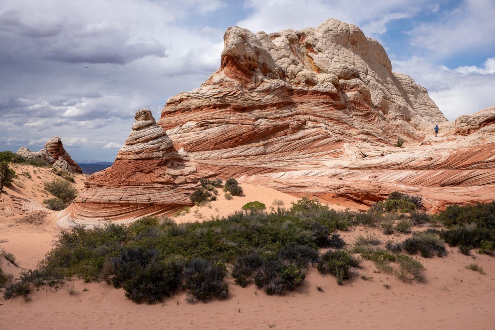 swirling Navajo sandstone formations surrounded by red sand and green desert vegetation
