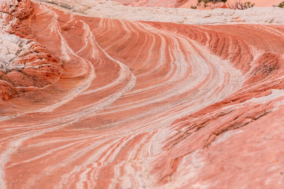 alrenating layers of red and white striped Navajo sandstone look like they have been poured out onto a canvas like rings of paint