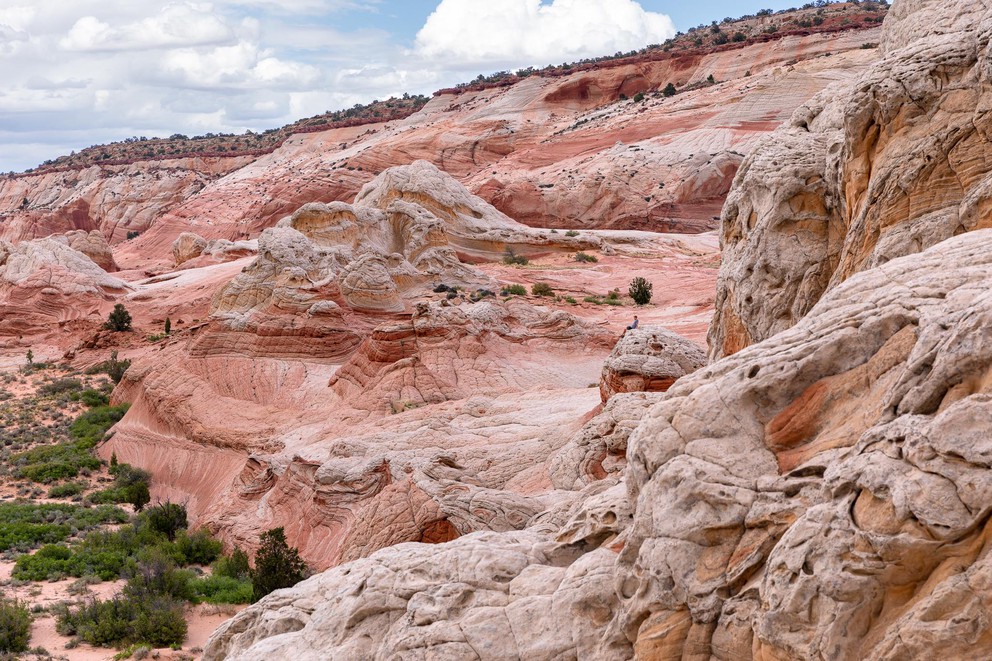 a man sits atop a white outcropping among many white, pink, and gold Navajo sandstone formations