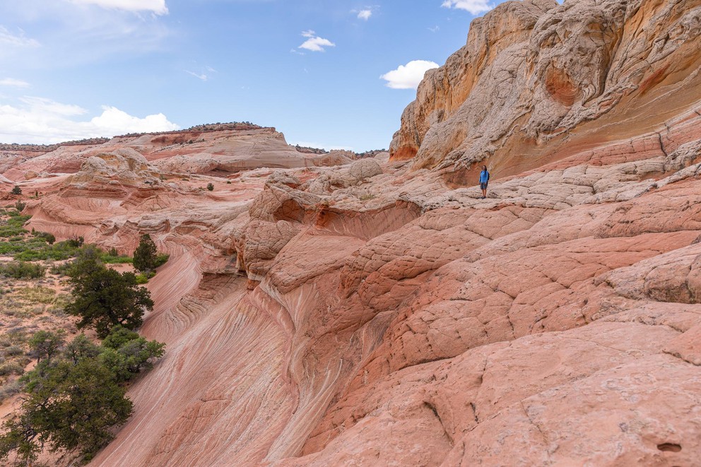 a woman walks along a ridge in what looks like miles of pink and white sandstone that has bubbled up out of the ground like slow moving lava