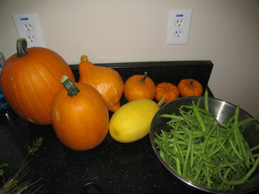 Pumpkins, Squash, and Beans