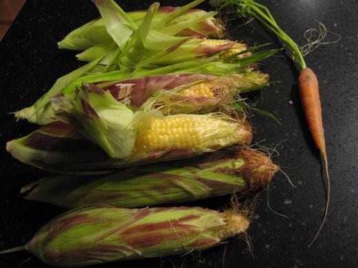 Carrot and Corn